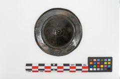 Foto von Bronzephalere (NHMW-PRAE-025078)
